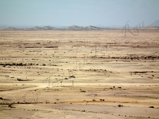 Die plat Namib
