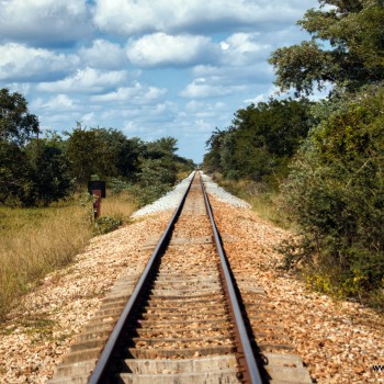 Railroad  through Gonarezhou en route to Maputo