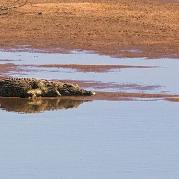 Sunbathing near Lisoda campsite