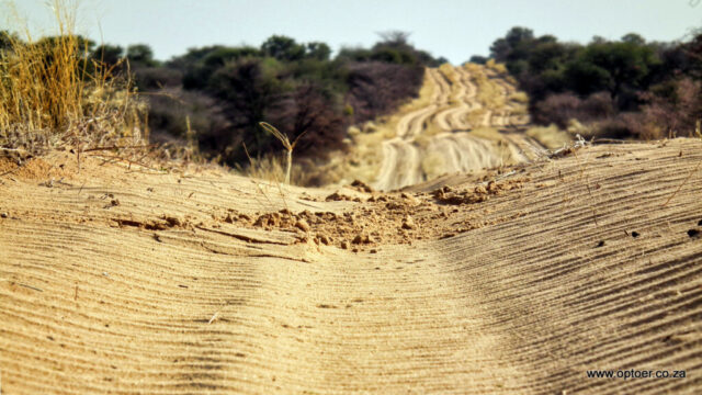 Sandy Road to Mabuasehube from Tsabong