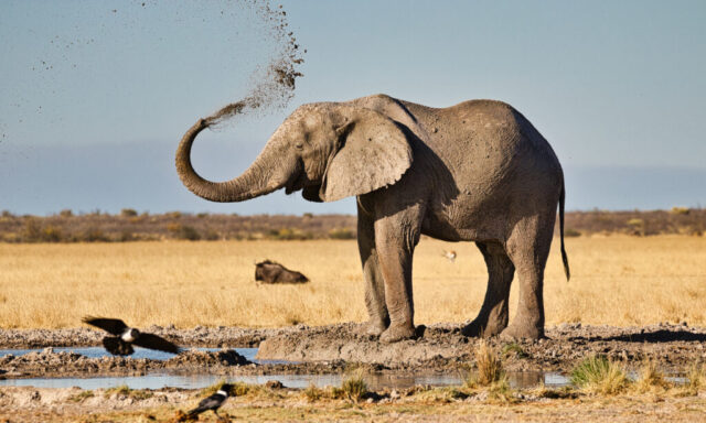 Mudbath Spa time
