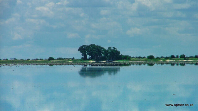 Baine's Baobab across the water
