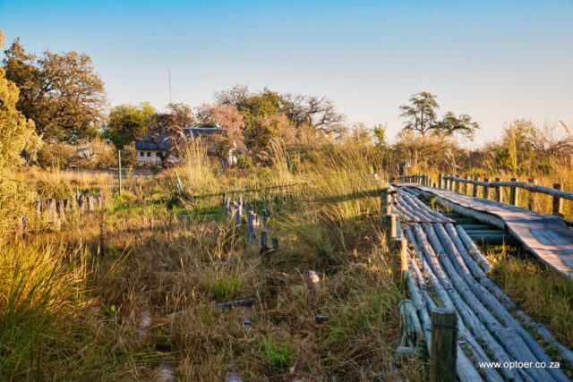 Third Bridge