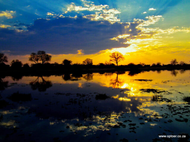 Sunset over the River Khwai