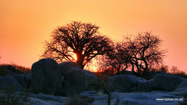 Stunning Sunset